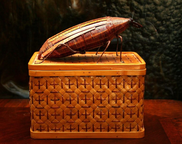 a huge fake cockroach is sitting on the basket