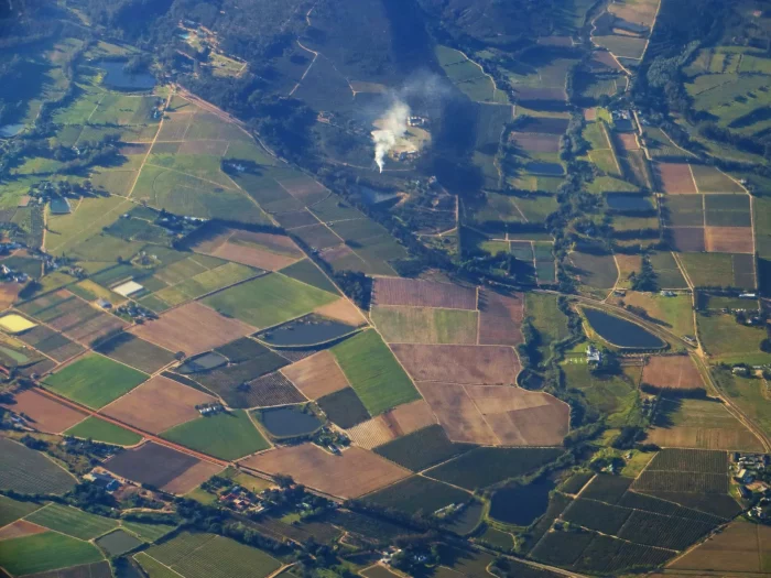 green fields from flight height