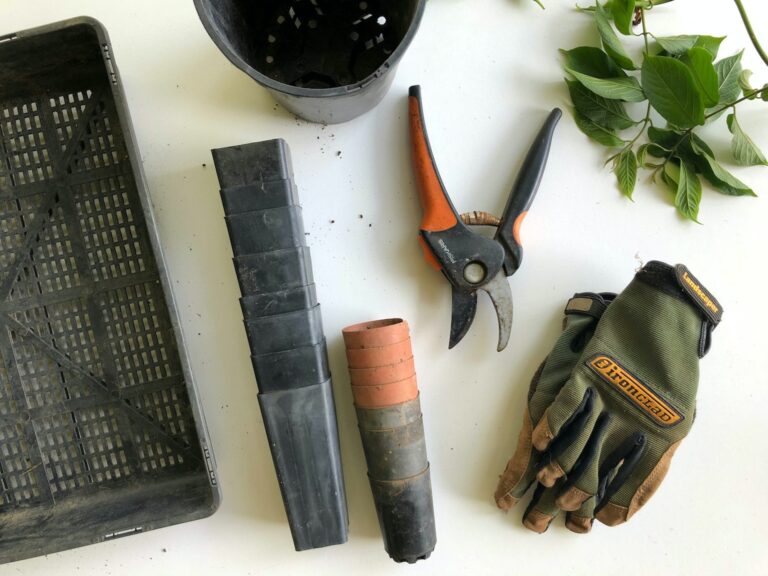 10 essential tools every home gardener needs